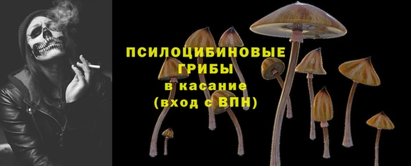мескалин Переславль-Залесский